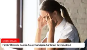 Fareler Üzerinde Yapılan Araştırma Migren Ağrılarının Sırrını Açıkladı