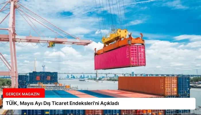TÜİK, Mayıs Ayı Dış Ticaret Endeksleri’ni Açıkladı