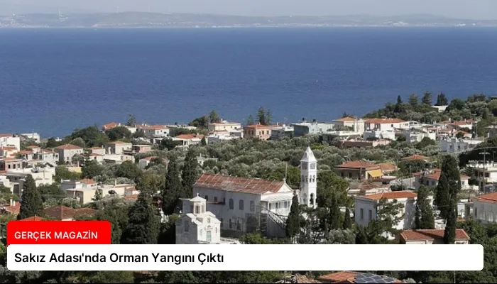Sakız Adası’nda Orman Yangını Çıktı