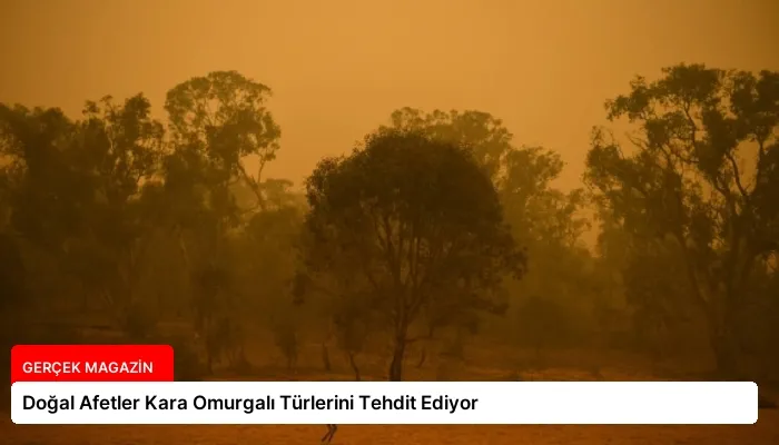 Doğal Afetler Kara Omurgalı Türlerini Tehdit Ediyor