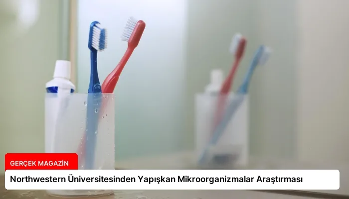 Northwestern Üniversitesinden Yapışkan Mikroorganizmalar Araştırması