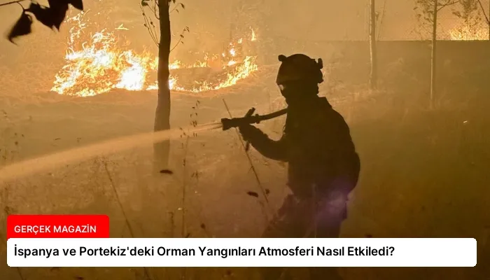 İspanya ve Portekiz’deki Orman Yangınları Atmosferi Nasıl Etkiledi?