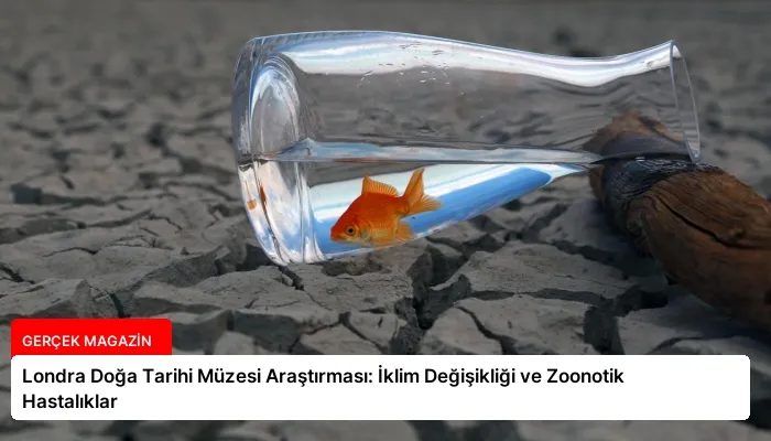 Londra Doğa Tarihi Müzesi Araştırması: İklim Değişikliği ve Zoonotik Hastalıklar